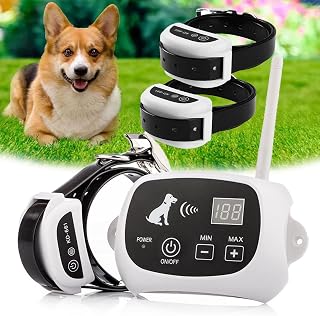Electric Wireless Dog Fence,Pet Containment System,Boundary Container with IP67 Waterproof Dog Training Collar Receiver,Adjustable Range Up to 1640ft,Harmless,for 123 Dogs,for3dogs