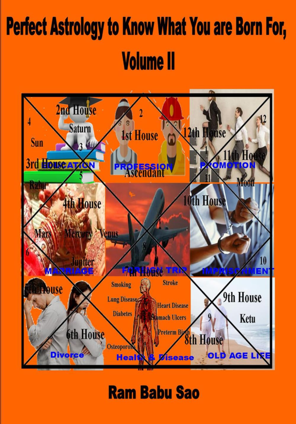 Perfect Astrology to Know What You are Born For, Volume II: Vedic Astrology to Know 'What You are Born For'