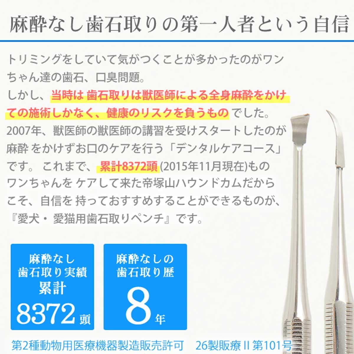 Amazon.co.jp: [帝塚山ハウンドカム] 愛犬愛猫用 歯石取り&デンタル
