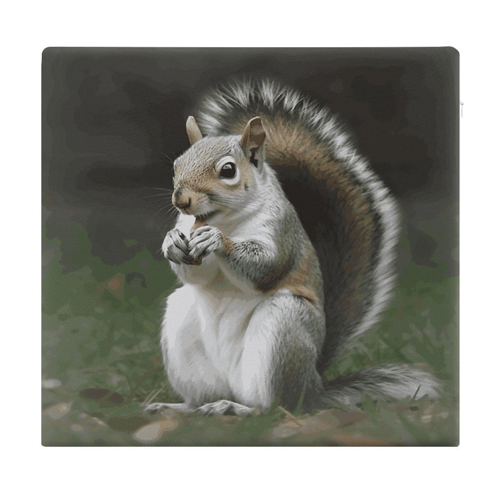 LDGSUPH Squirrel Seat Cushion Office Chair Cushion Square Cushion Cushion Cushion Cushion Soft Floor Cushion Comfortable Couch Cushion Support Memory Foam Chair Pad for Home Travel Car