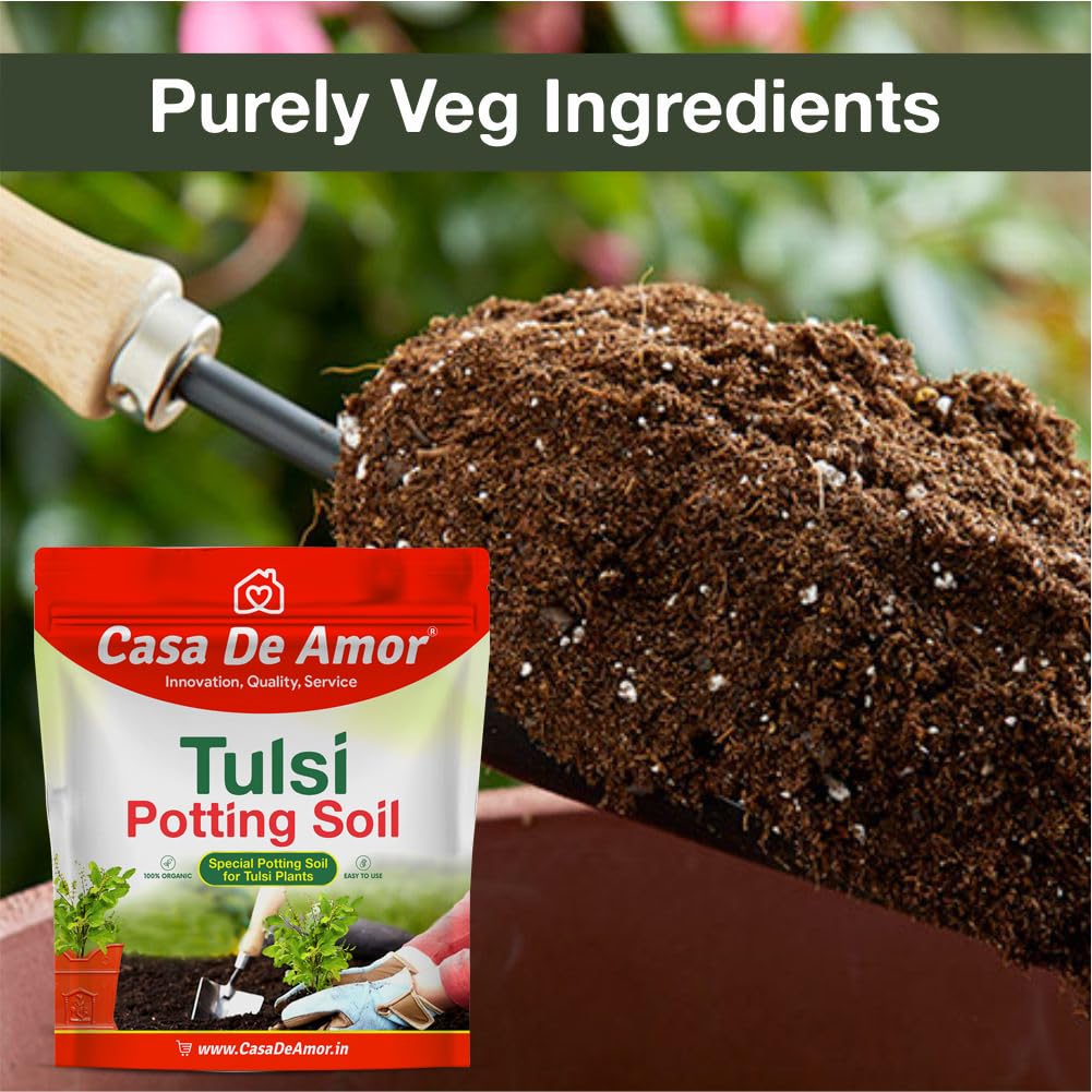 Casa De Amor Tulsi Potting Soil - Organic & Healthy -2 Casa De Amor Tulsi Potting Soil - Organic & Healthy -2