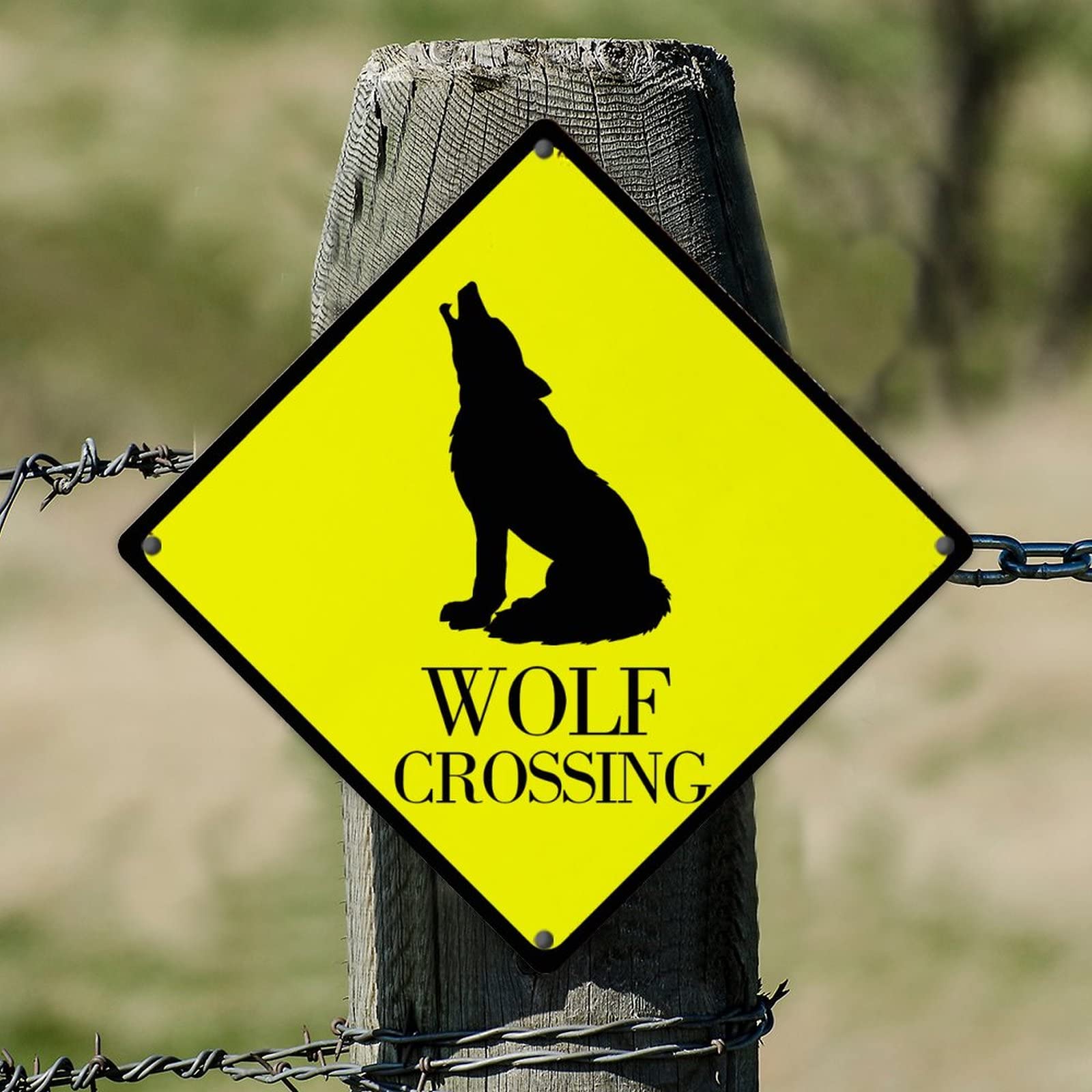 Wolf Xing - Targa in latta Be Kind to Animal Road, in alluminio, protetta dai raggi UV, resistenza allo sbiadimento, per casa, cancello, giardino, bar, ristoranti, bar, 30,5 x 30,5 cm