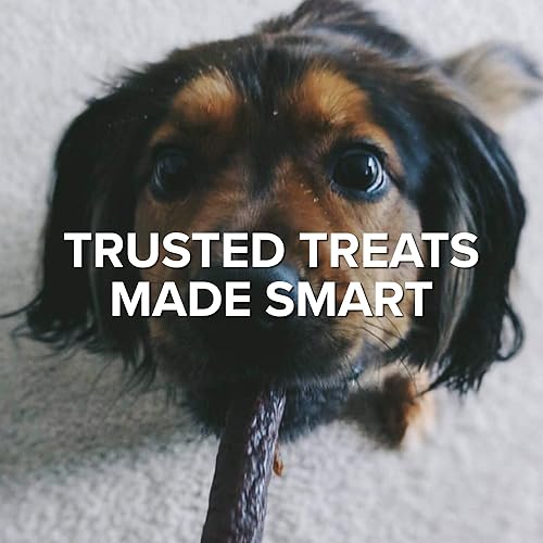 Miniatura 2 de Plato Thinkers Salmon 18oz