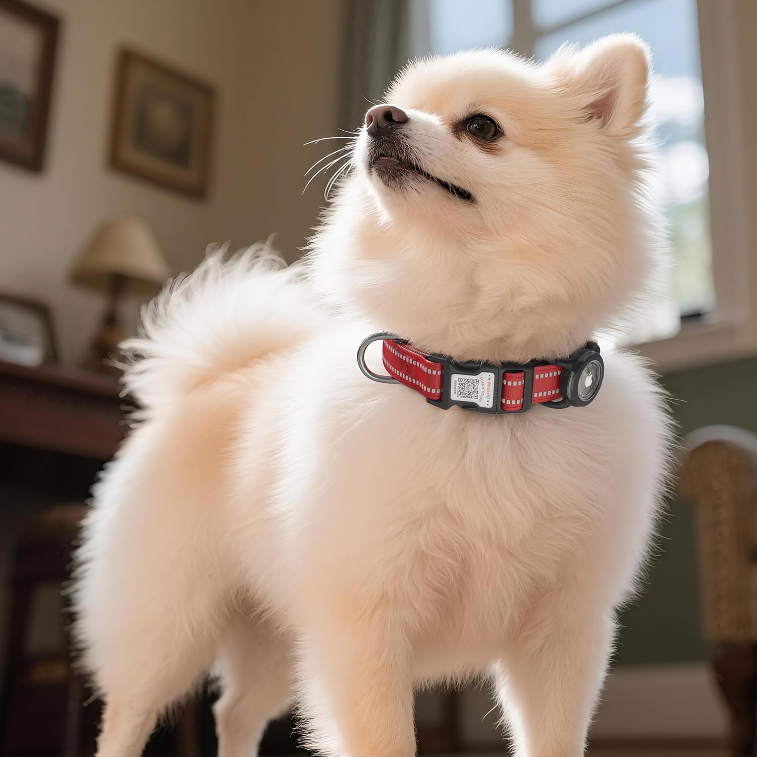 Collar de perro con código QR, collar reflectante para perro, acolchado de neopreno suave y hebilla de bloqueo de seguridad, collar ajustable para mascotas (rojo, M con soporte para Airtag)