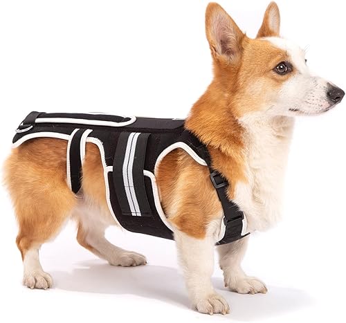 Soporte de espalda para perros con IVDD, artritis, dolor de espalda, recuperación quirúrgica y rehabilitación, alivio del dolor de espalda de perro