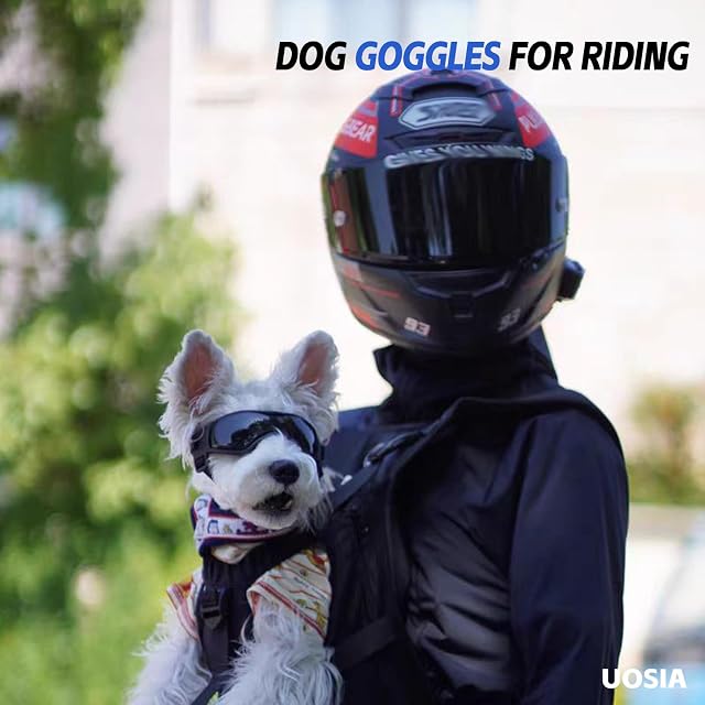 Foto 7 de 7 de UOSIA 2 uds Gafas para Perros y Casco para Mascotas Gafas de Sol para Perros con Sombrero Gafas para Gatos…