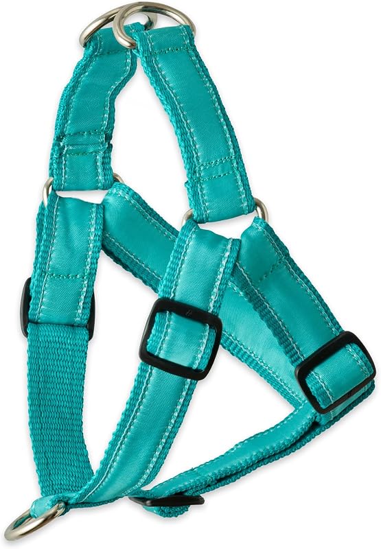 Peitoral Tipo Cabresto para Cães Pet Passion REMY com Fita de Poliéster Reciclado Turquesa (X-Large)