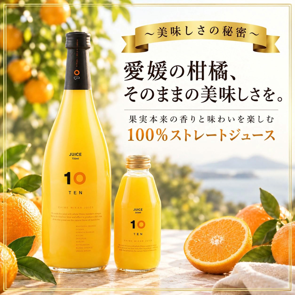 Amazon.co.jp: 10 FACTORY