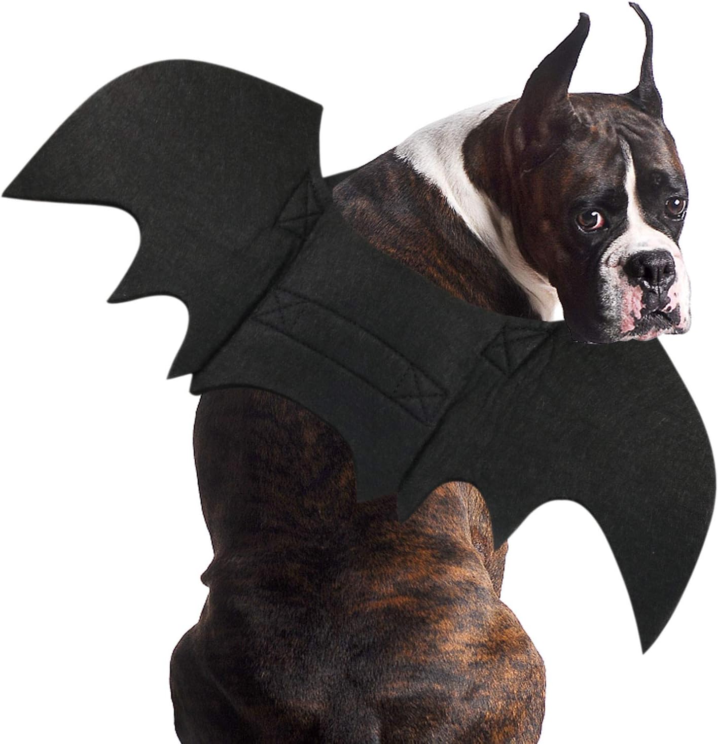 Rypet Dog Bat Costume Halloween Pet Costume Bat Wings Cosplay Dog Costume Cat Costumes for Party XL