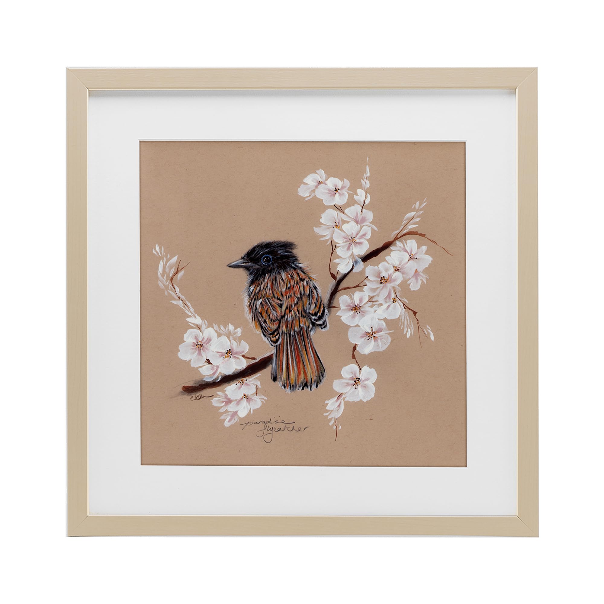 Stupell Industries Perched Bird Neutral Apple Blossoms Birch Framed Print Under Glass, design by Cady Driver, 16 x 16