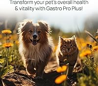 Vista 4 de pawTree Gastro Pro Plus® para perros y gatos - Probióticos, prebióticos y enzimas digestivas - para estómago sensible, problemas digestivos, heces