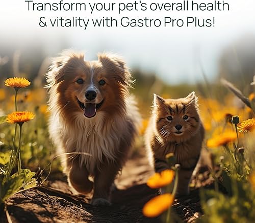 Miniatura 4 de pawTree Gastro Pro Plus para perros y gatos - Probióticos, prebióticos y enzimas digestivas - para estómago sensible, problemas digestivos, heces
