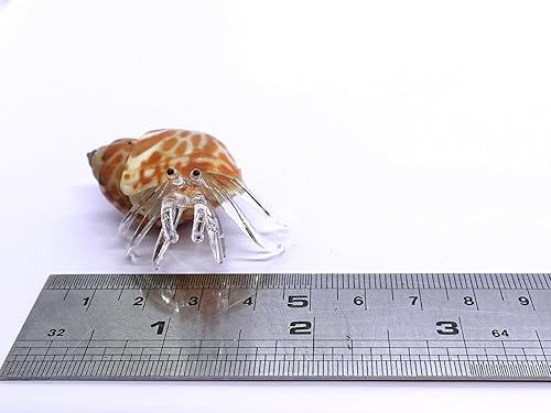 Miniatura 2 de Sansukjai Concha de mar, concha de cangrejo ermitaño, pequeñas figuras en miniatura de animales de playa, arte de vidrio soplado a mano, regalo