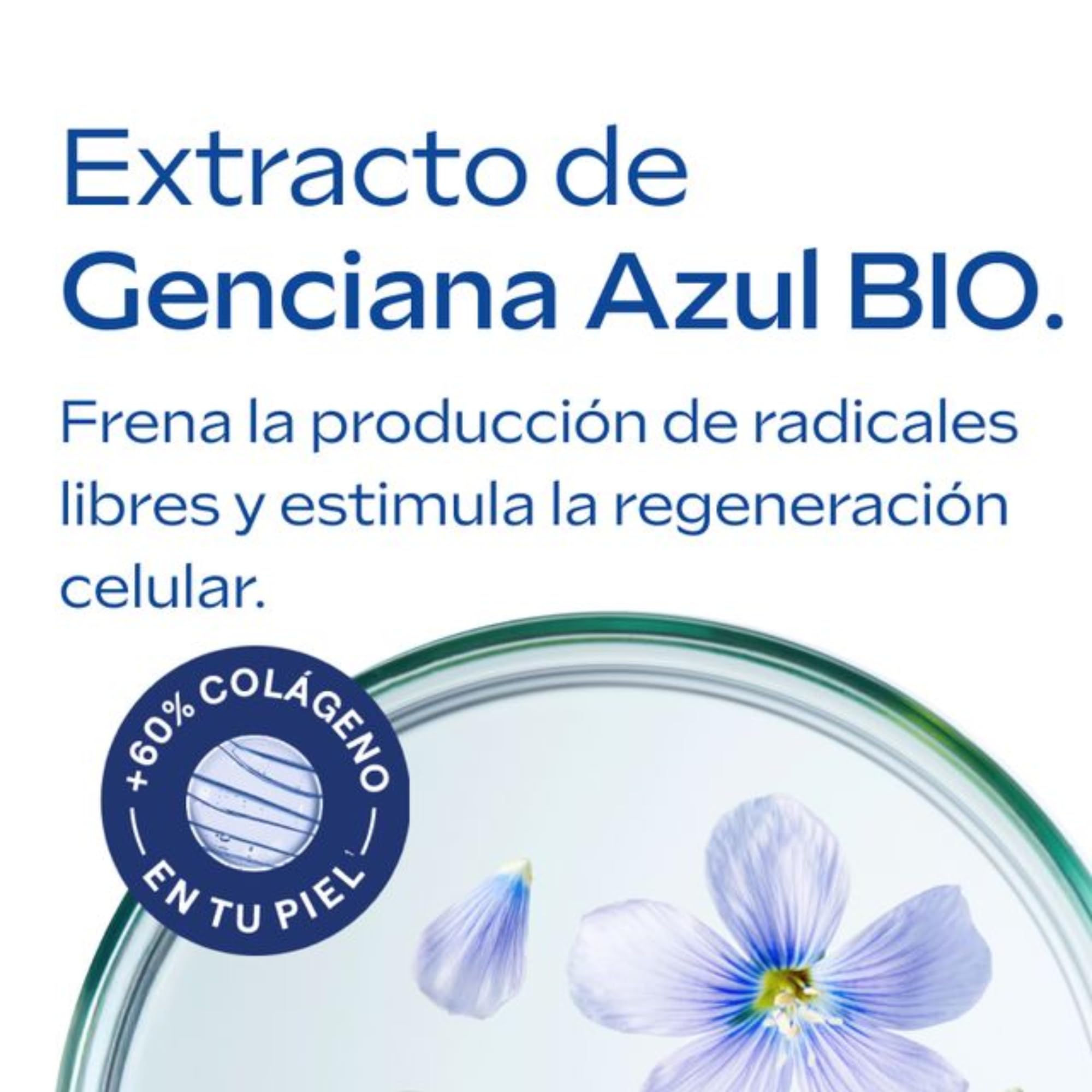 Weleda - Crema Facial de Día, Redensificante, Equilibra e Ilumina, Aumenta el Colágeno de la Piel, Antiedad, 100% Natural, con Genciana Azul y Edelweiss, No Comedogénica, Vegana, Pieles Maduras-40 ml