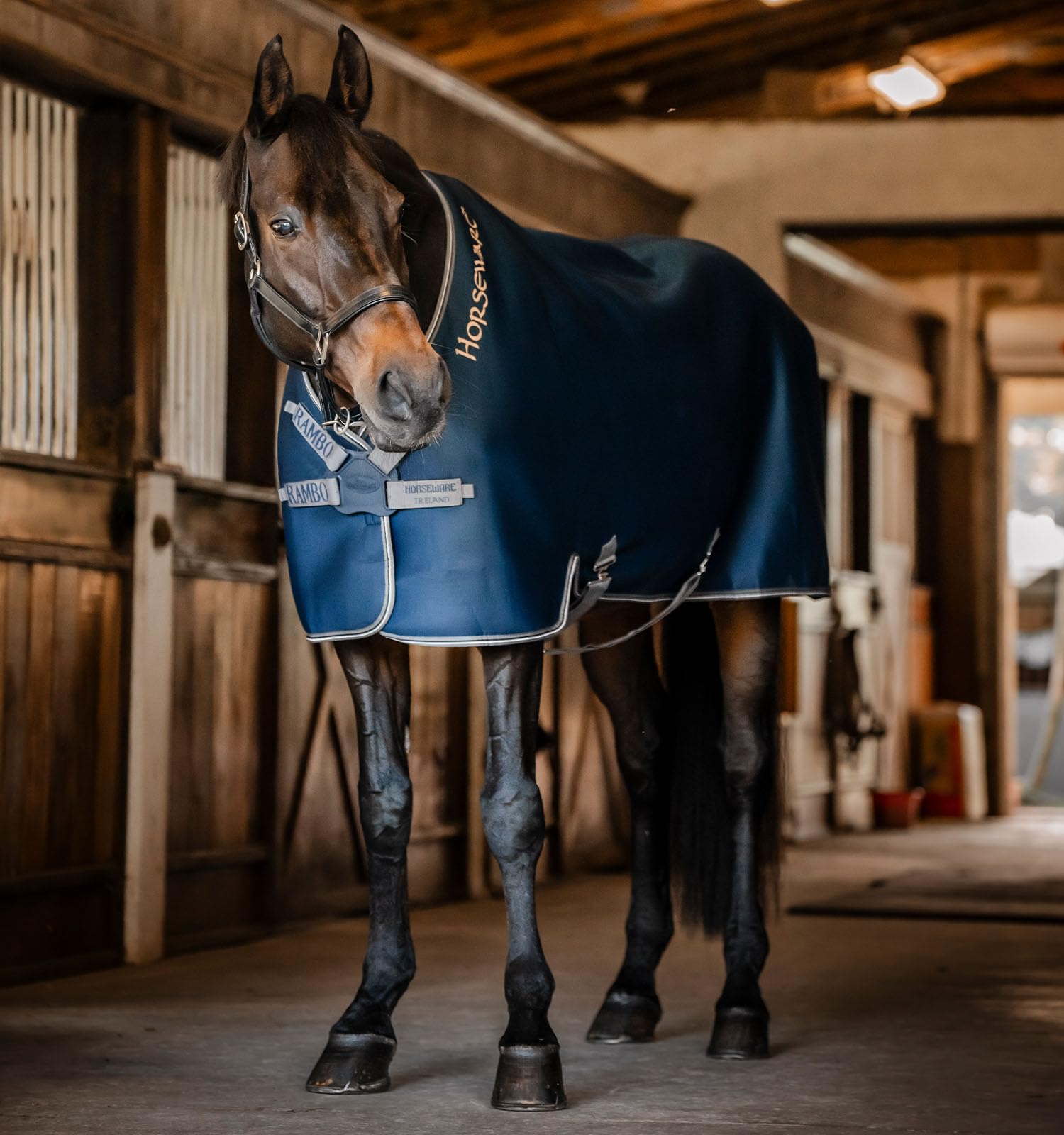 Rambo® Airmax Cooler – Horseware Ireland