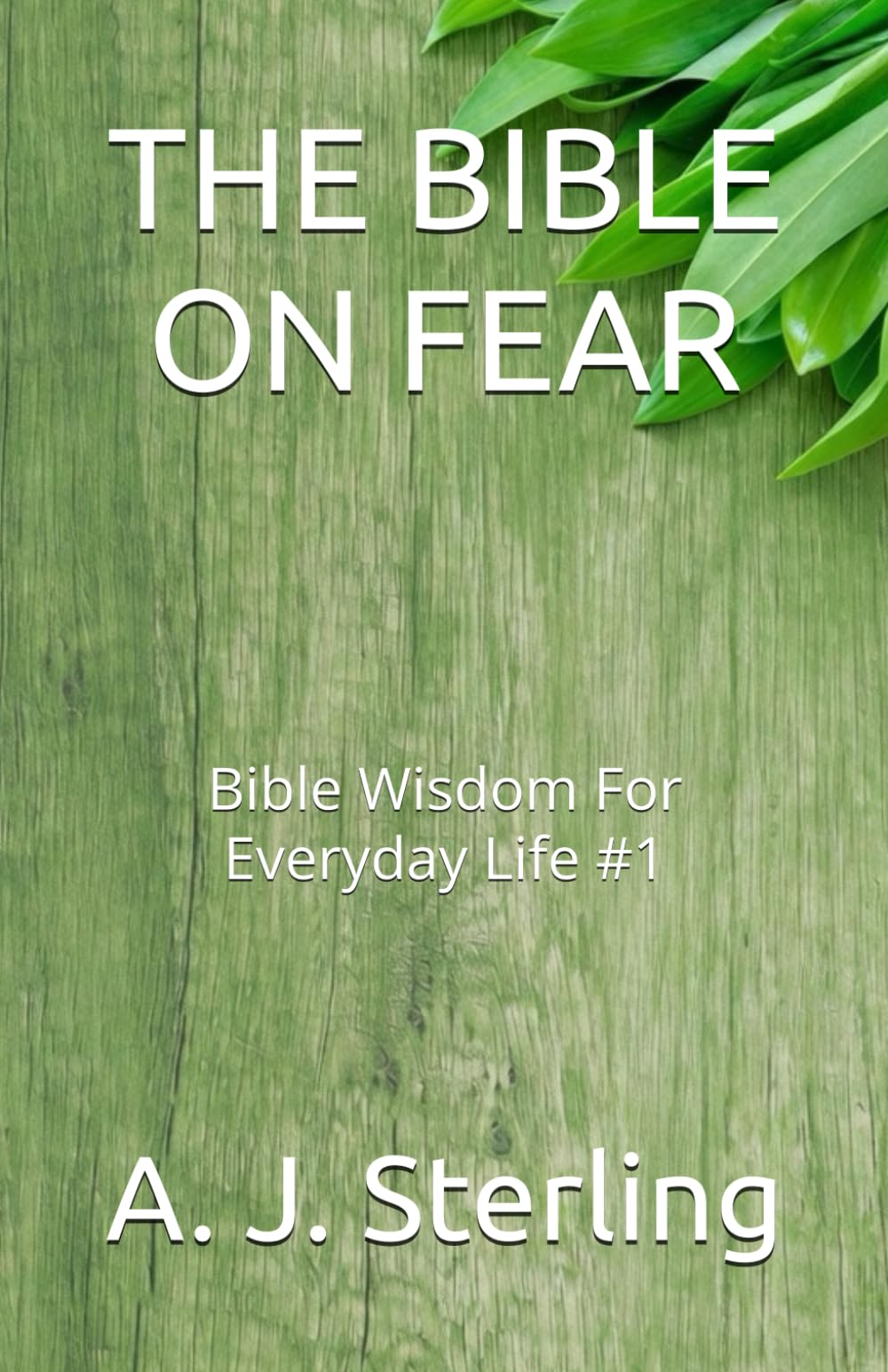 THE BIBLE ON FEAR: Bible Wisdom For Everyday Life #1