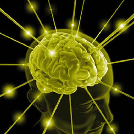Complex Memory Trainer - App on Amazon Appstore