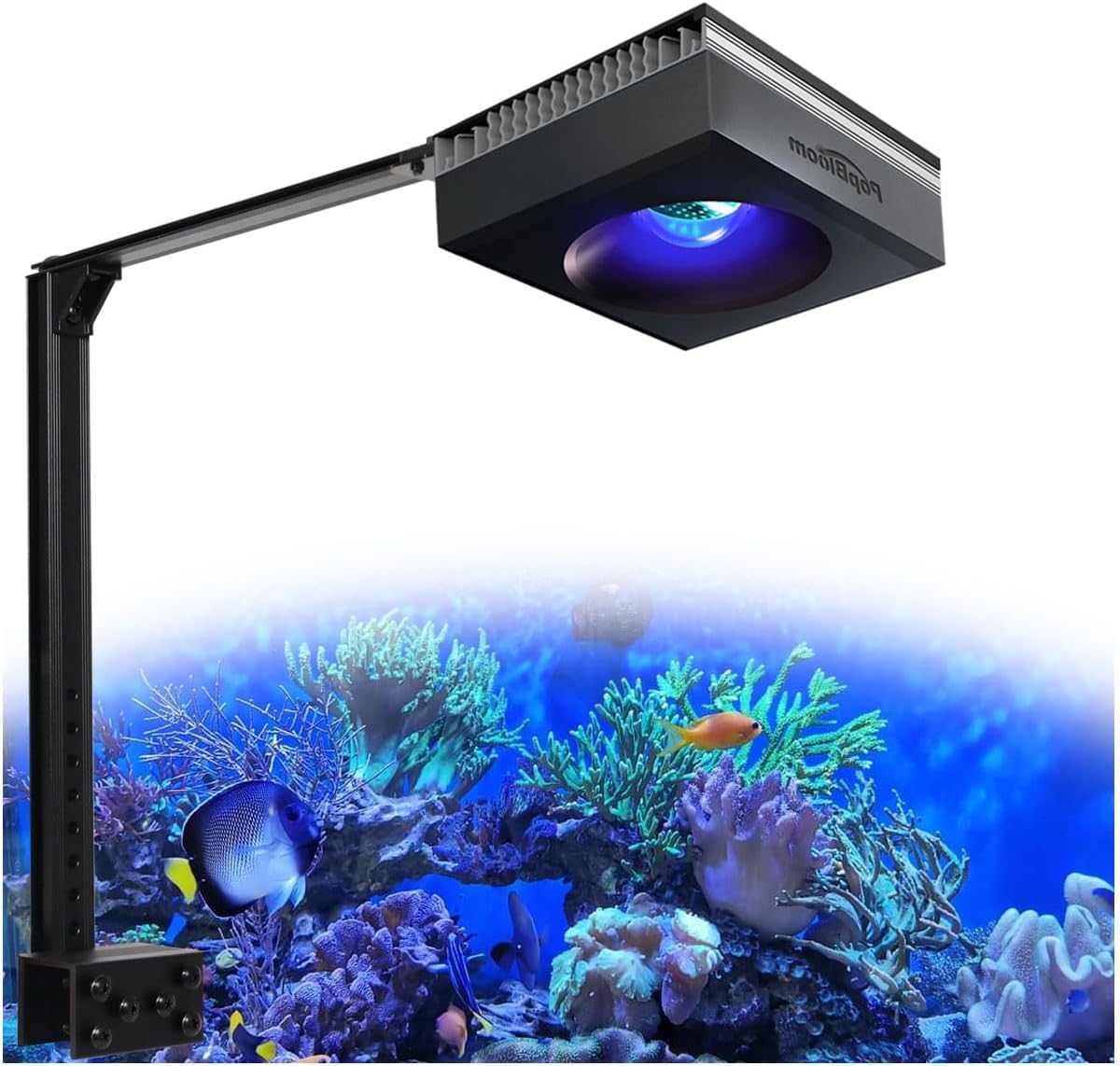 PopBloom RL90 WiFi Rampe LED Aquarium 100W, APP Programme Marine Éclairage à Spectre Complet pour Eau de Mer Aquarium de Corail, L'APP prend en charge le français (1 lampe avec kit de montage)