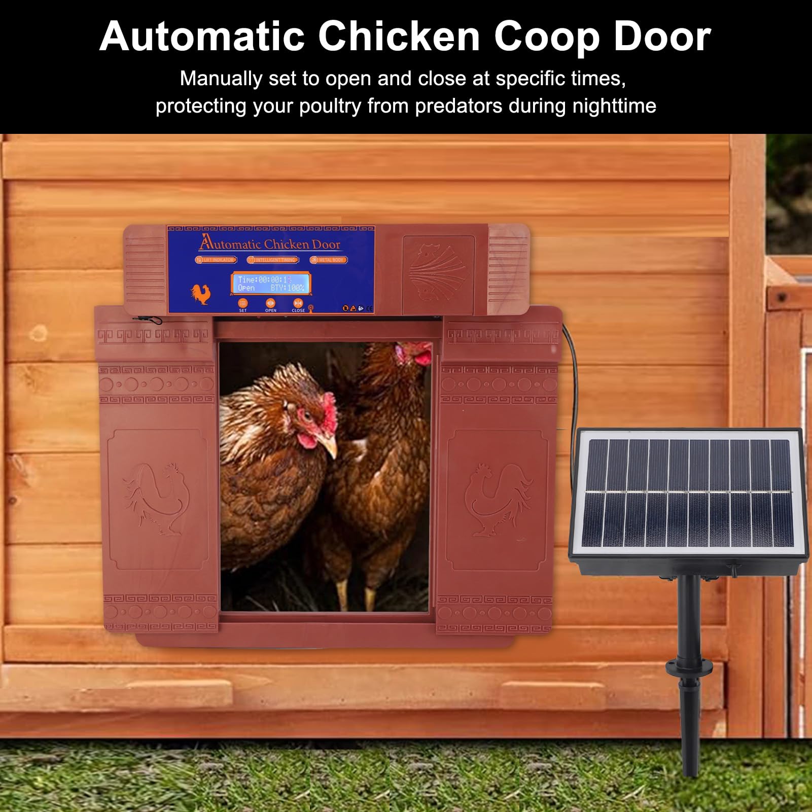Porta automatica per pollaio, apriporta elettrico per pollaio alimentato a batteria solare con timer, display a LED doppie porte apriporta elettrico per pollaio per polli, anatre, oche (Bronzo)