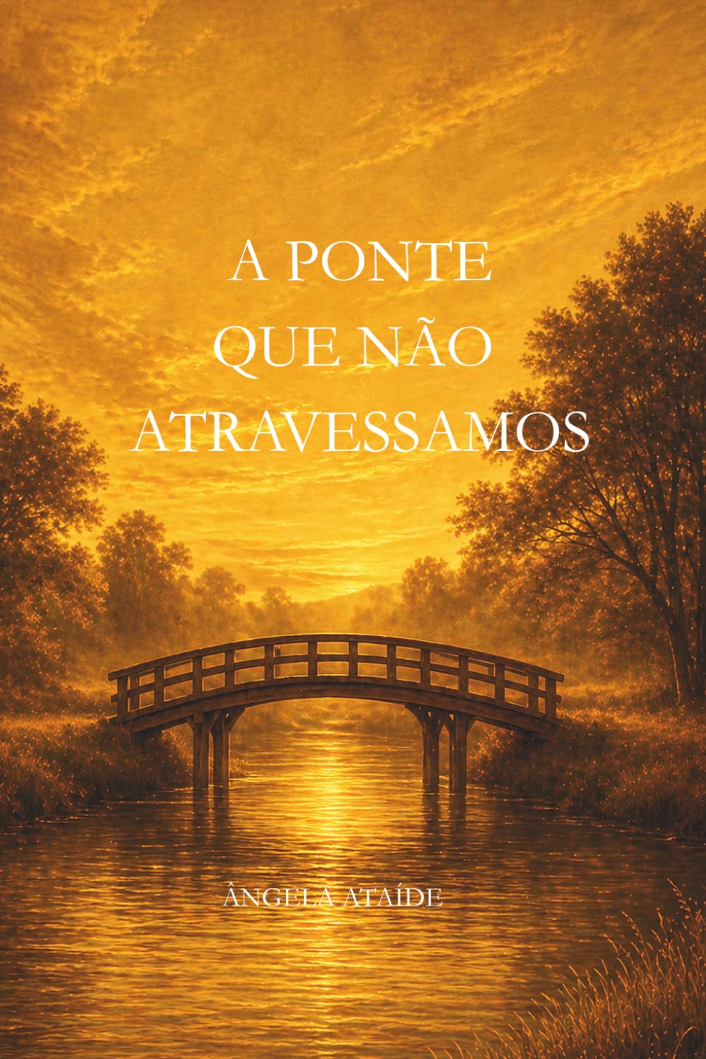 A PONTE QUE NÃO ATRAVESSAMOS
