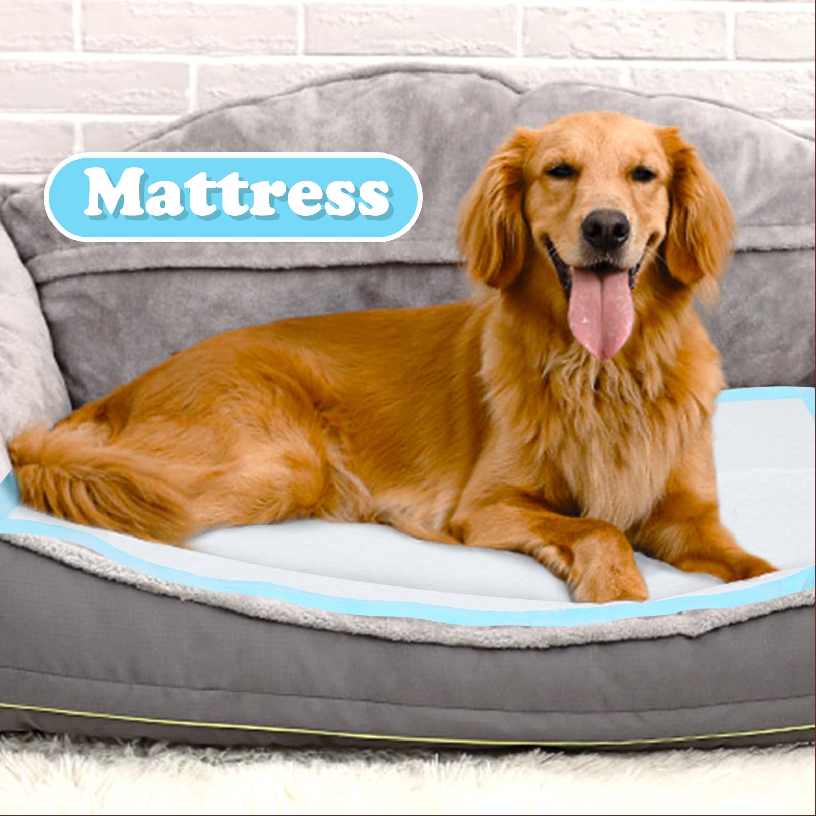Nobleza - 120 x Empapadores Perros Alfombrilla higiénica de Entrenamiento para Perros. Ultraabsorbente 90cm*60cm
