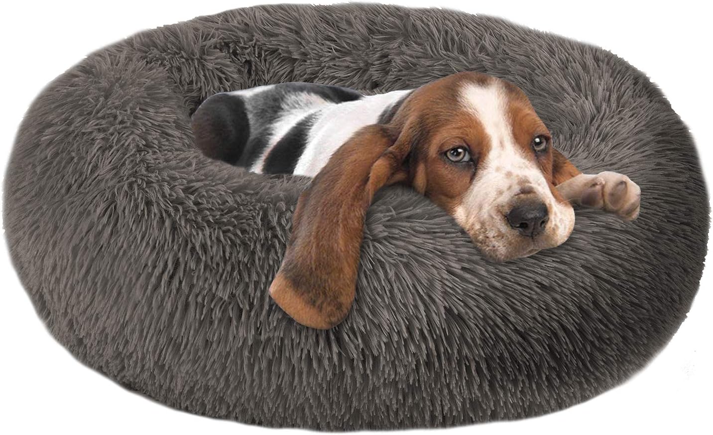 dog pod bed