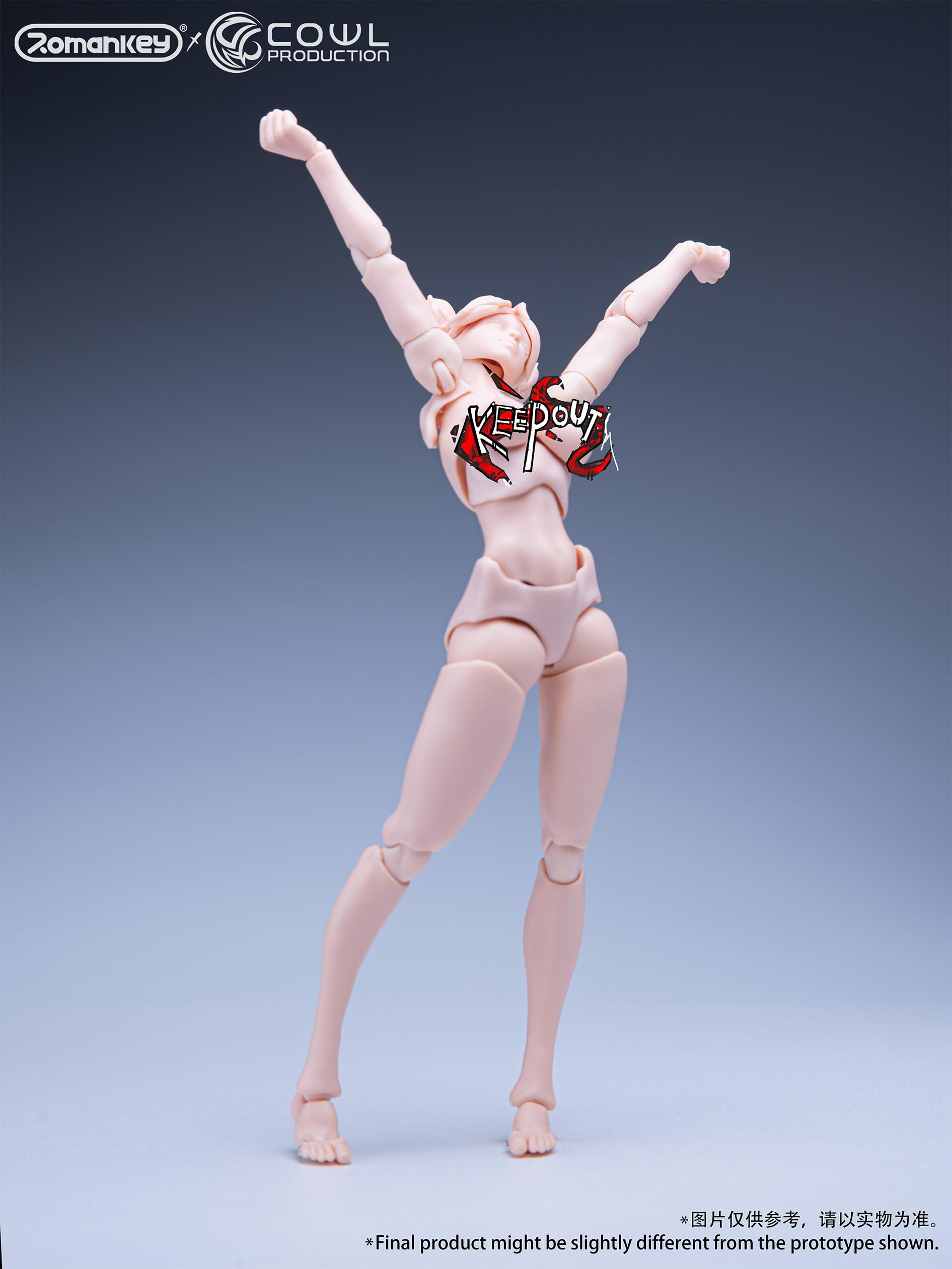 Amazon.co.jp: Romankey x COWL 1/12スケール PVC&POM&PA製 超可動女性