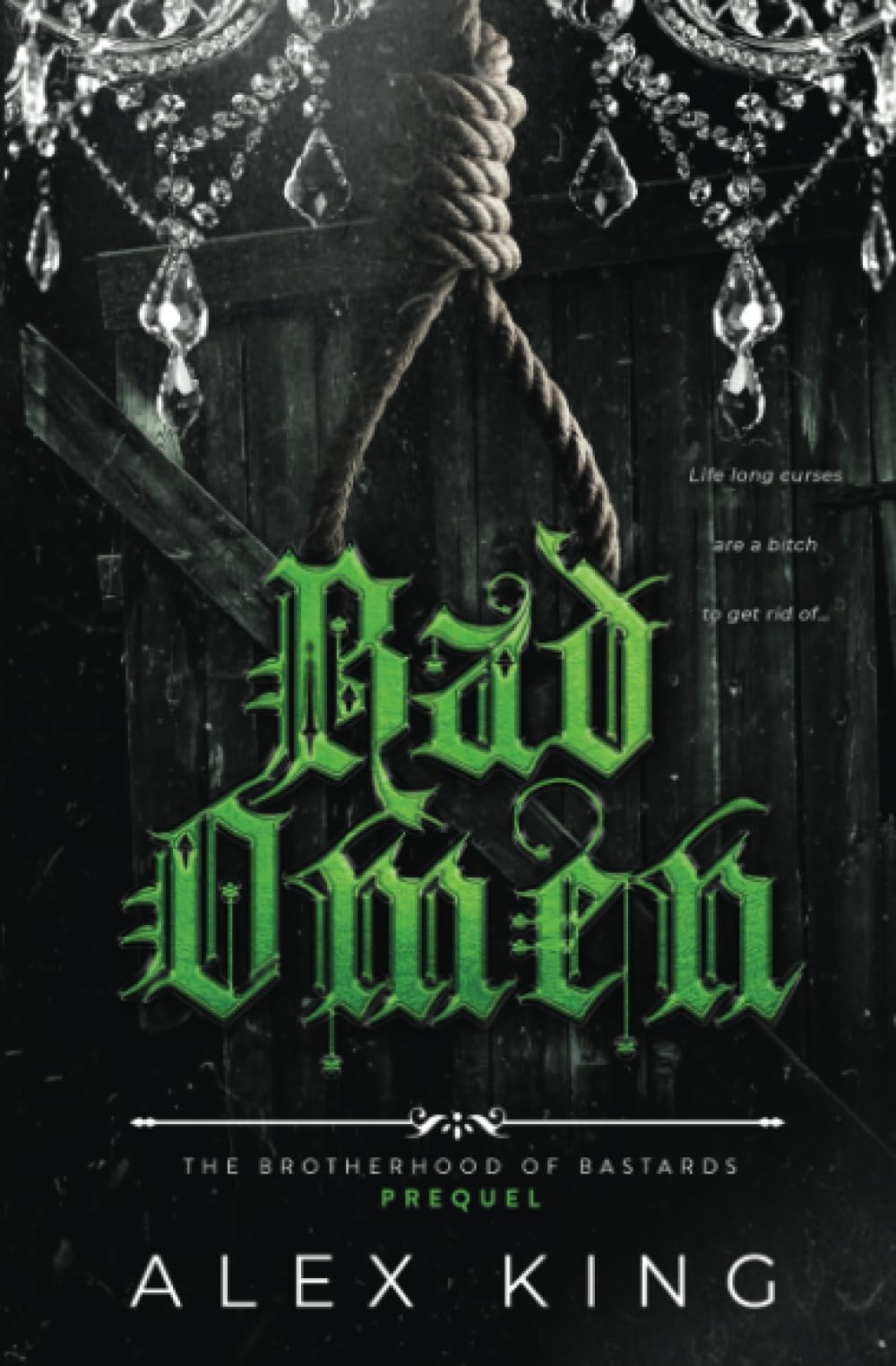 Bad Omen: Dark Secret Society Romance