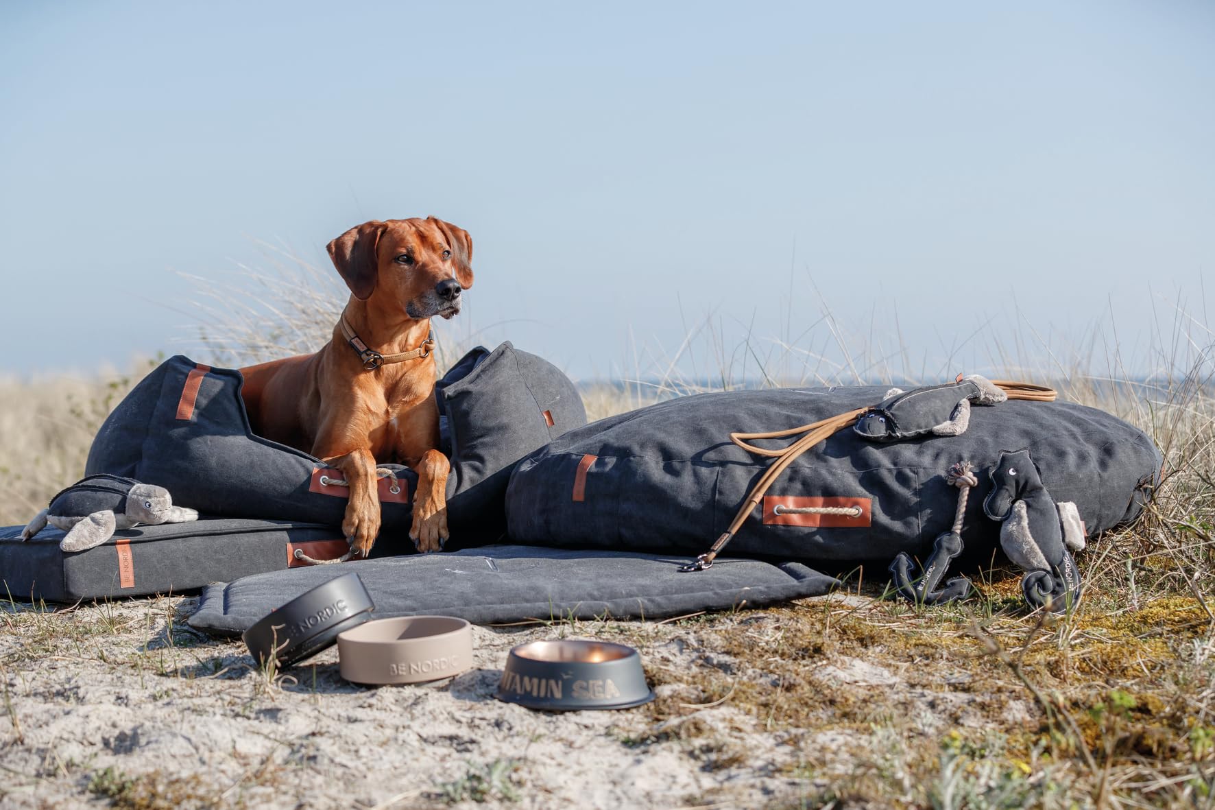 TRIXIE Hundeleine aus Leder BE NORDIC V-Leine Leder XS-S, 2,00 m 15 mm in sand - umweltfreundliche Hundeleine mit nordischem Charme - für sehr kleine bis kleine Hunde - 17431