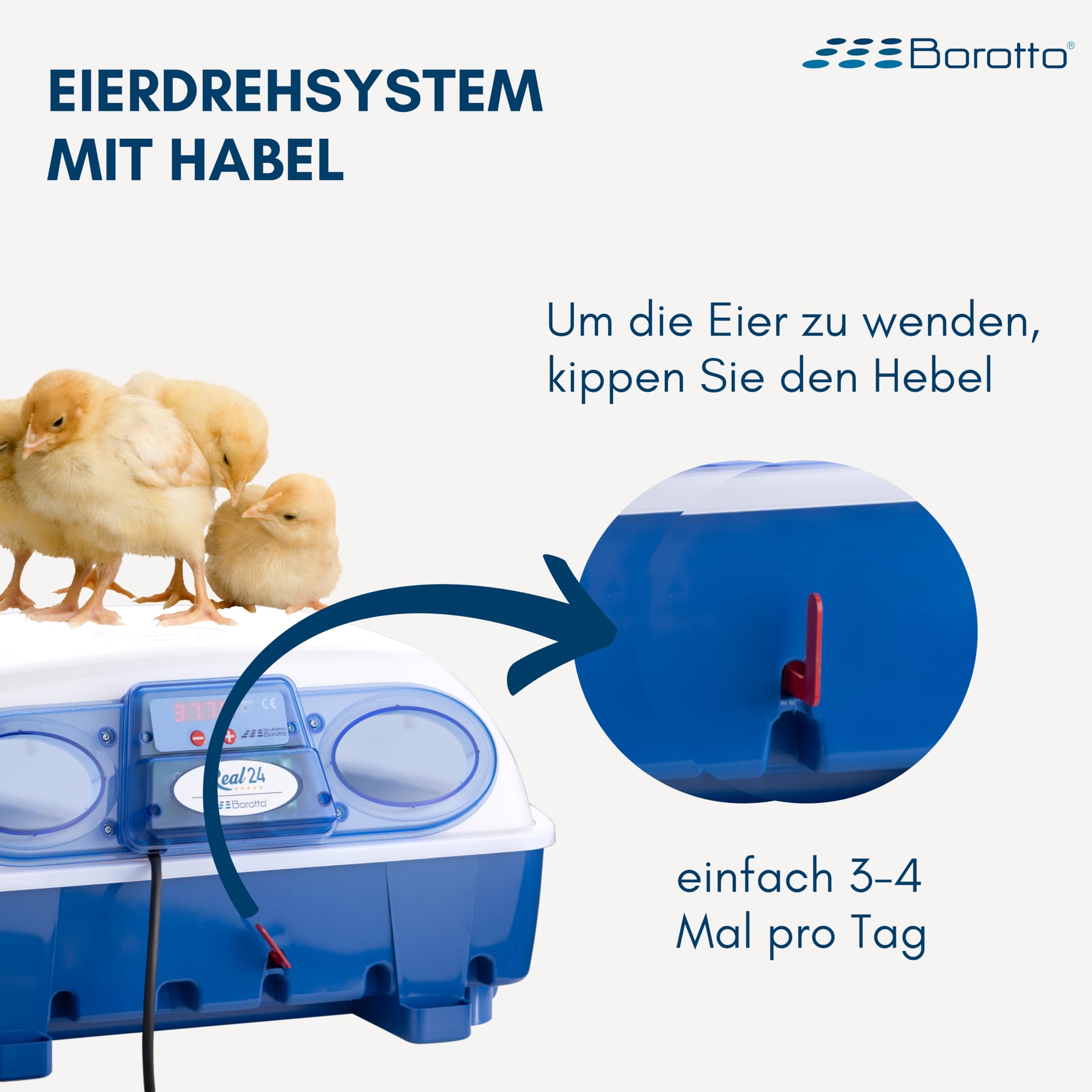 Borotto Real 24 Semi Automatische | Inkubator für 24 Eier oder 96 Kleine Professionelle Brutmaschine mit Halbautomatische Ei Wendung und Temperaturkontrolle | Hergestellt in Italien