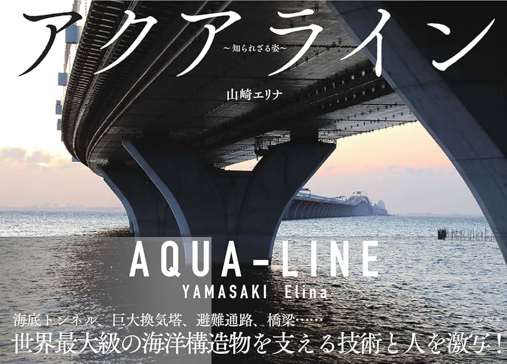 廃盤 帯付き CD さかな 光線 SAKANA LE RAYON Amazon.co.jp: 帯付き CD さかな 線 SAKANA LE RAYON : おもちゃ