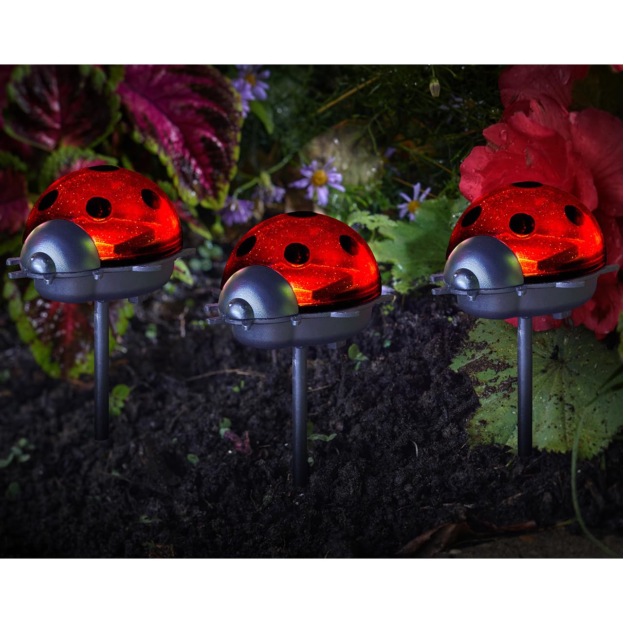 Mysmartbuy.com Red Set Of 3 Solar Powe Ladybird Stake Lights - Weatherproof Outdoor Garden Novelty Led Lighting For Pathway, Border, Patio Or Decking Pots – & Black, Each Measure H14 X W6 X D7cm