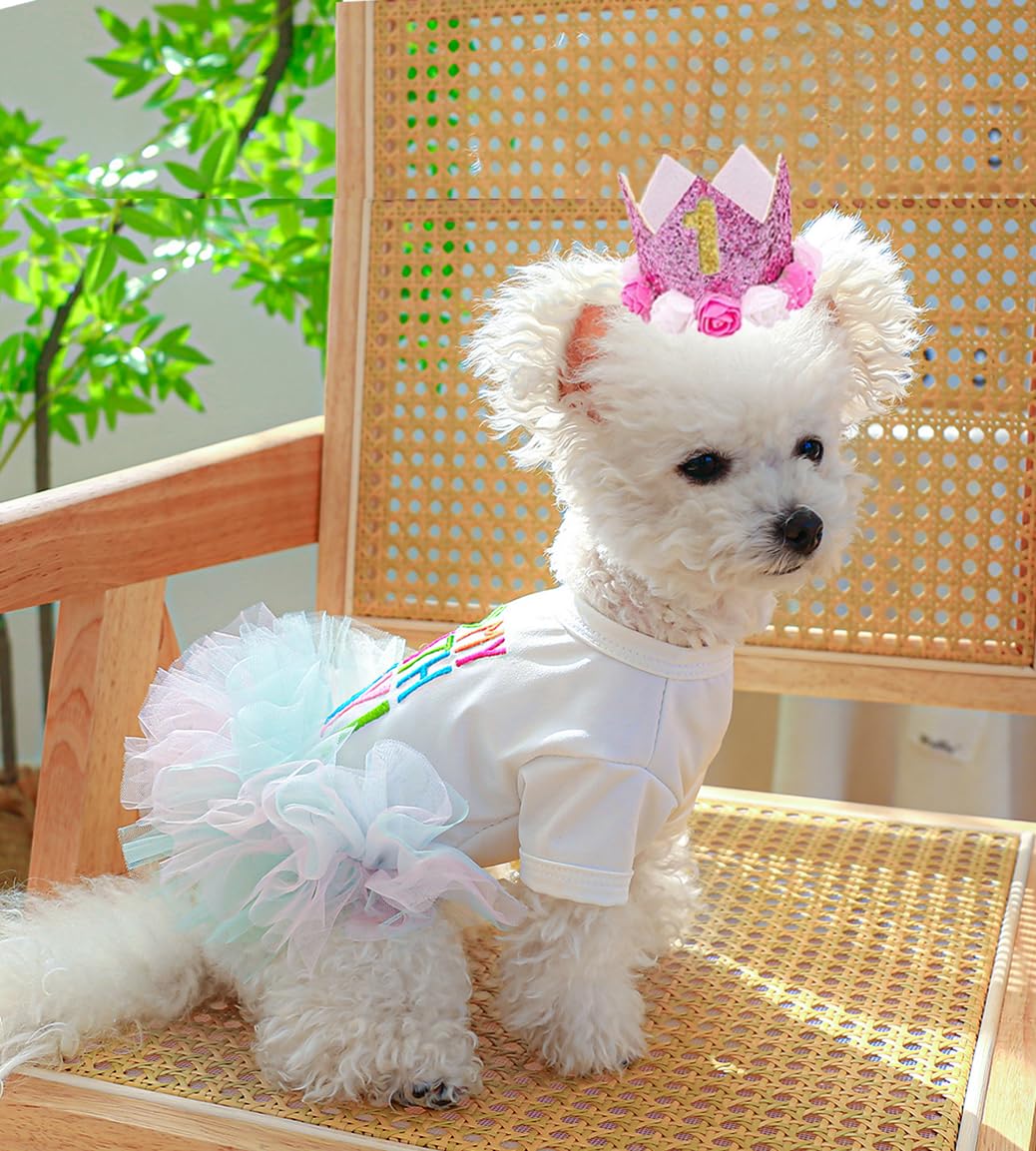 dog birthday dress Amazon.com : ANIAC Dog Birthday Dress and Hat Set Puppy Lace Tutu Pink Pet  Crown Hat with 0-9 Figures Birthday Outfit for Cats Small Dog  (White+Pink,Large) : Pet Supplies
