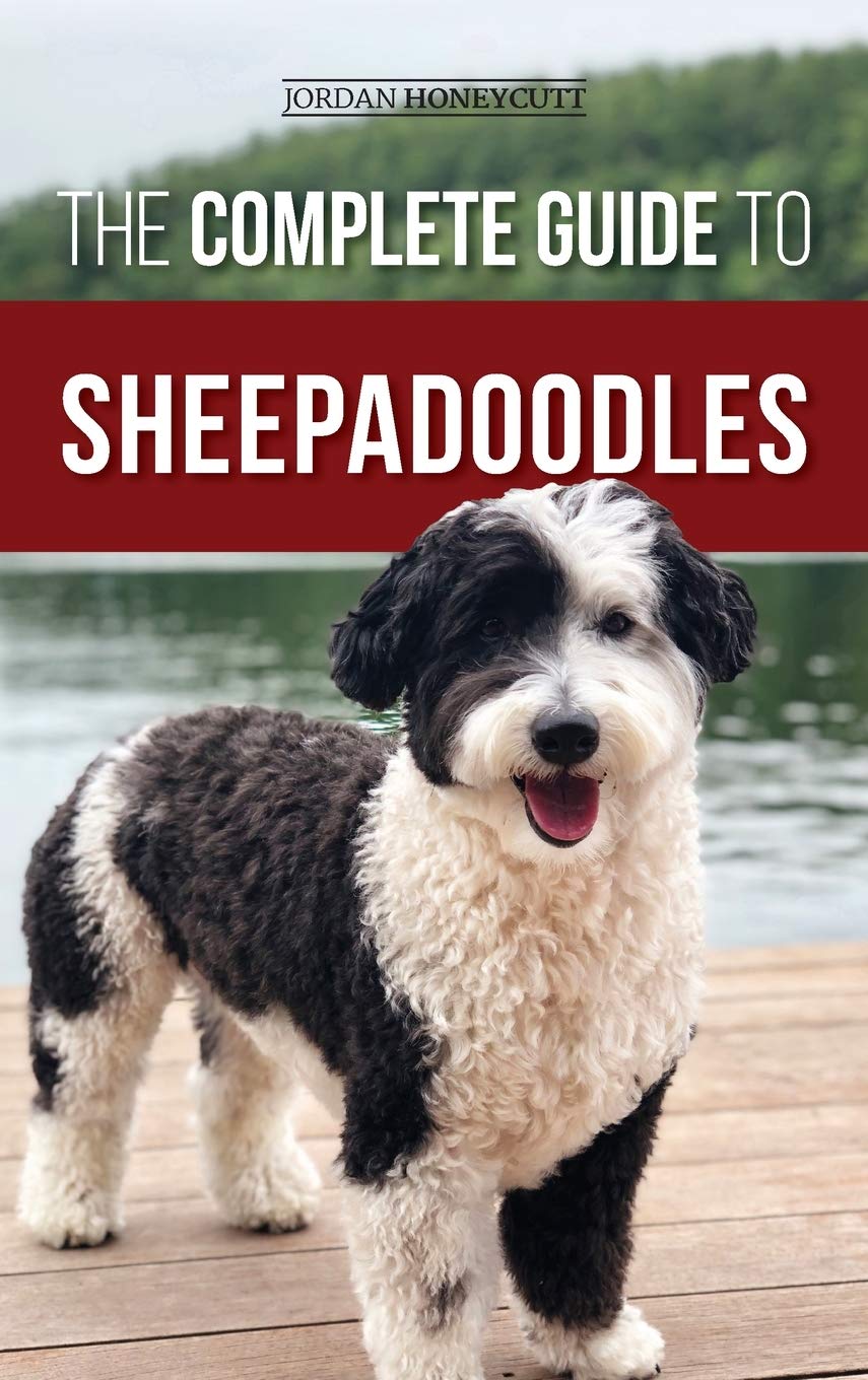 The Complete Guide to Sheepadoodles: Finding, Raising, Training, Feeding, Socializing, and Loving Your New Sheepadoodle Puppy
