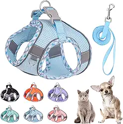 Arnês xadrez fofo para cães pequenos, de malha macia, conjunto de coleira e coleira para cães pequenos, fácil de caminhar, chihuahua yorkie shih tzu (azul, PP)