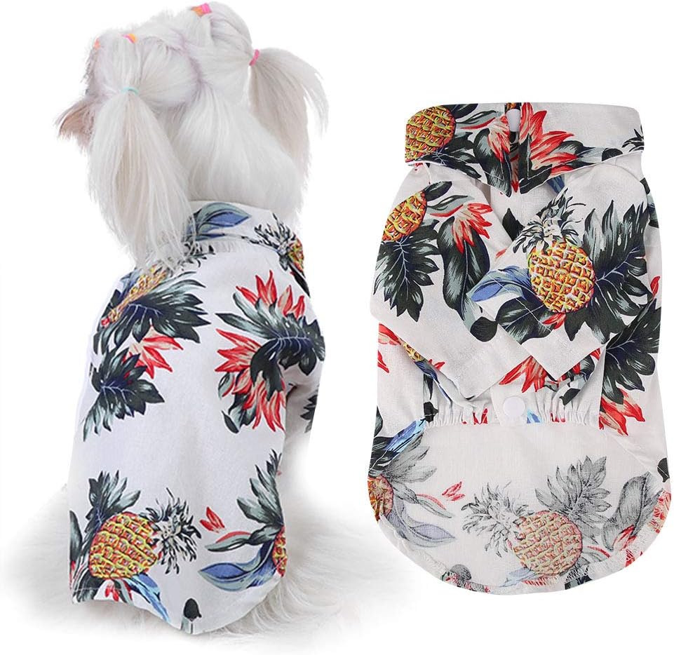 camicia di raffreddamento per cani