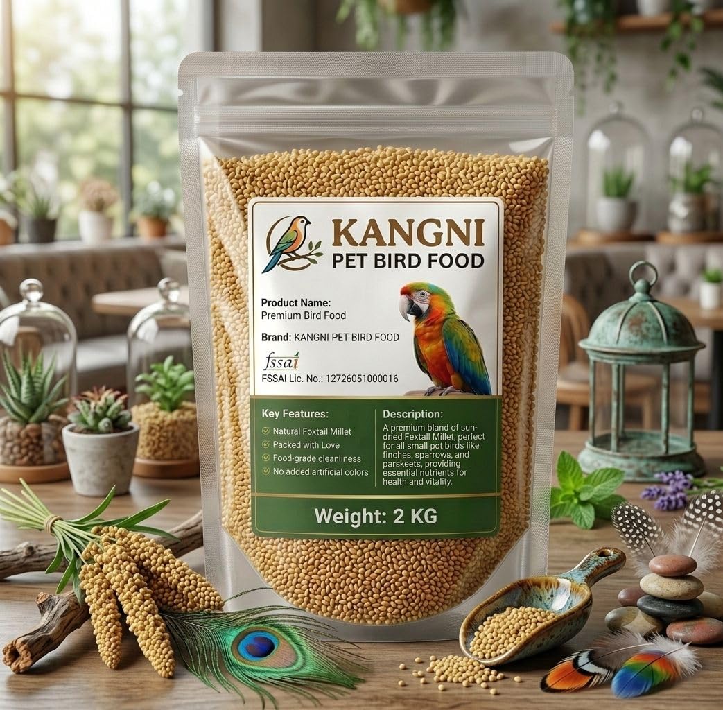 Foxtail Millet Kangni Seeds 5KG Bird Food | Small Size Seed Mix for Budgies, Canary, Finches, Lovebirds, Cockatiels & Parrots | Rich in Fiber, Iron, Calcium & Protein 2 kg-image-6