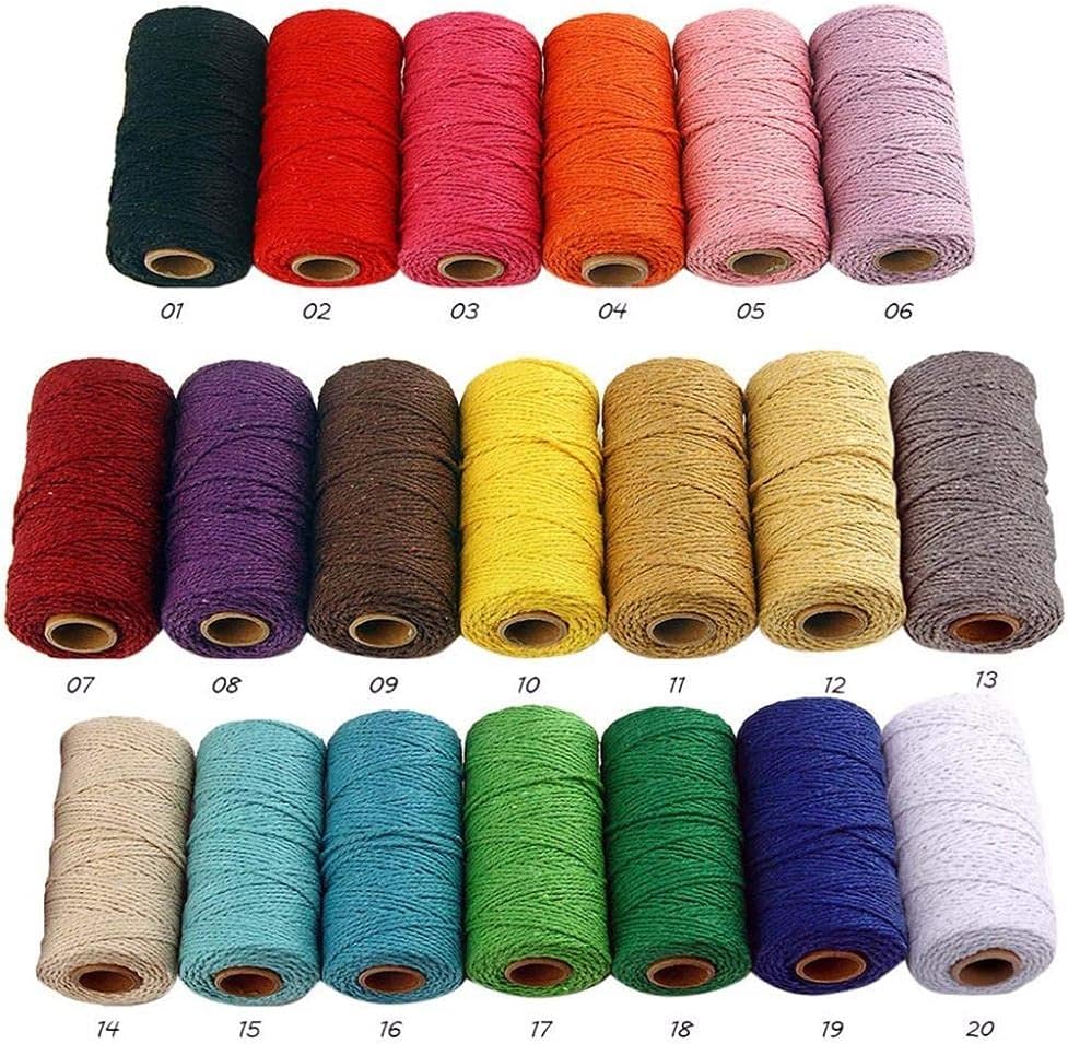 Diy Crafts 14858 Twisted Cord Rope Crafts Macrame Artisan String for Gardening Crafts Bundling Ropes, Pack of 500 Mtr 100x5 20 (Multicolor)