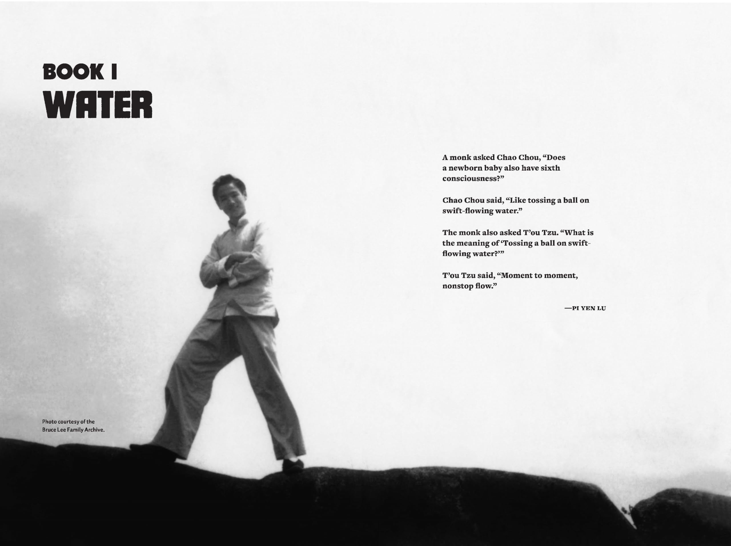 WATER MIRROR ECHO BRUCE LEE & MAKING OF ASIAN AMERICA: Bruce Lee and the Making of Asian America