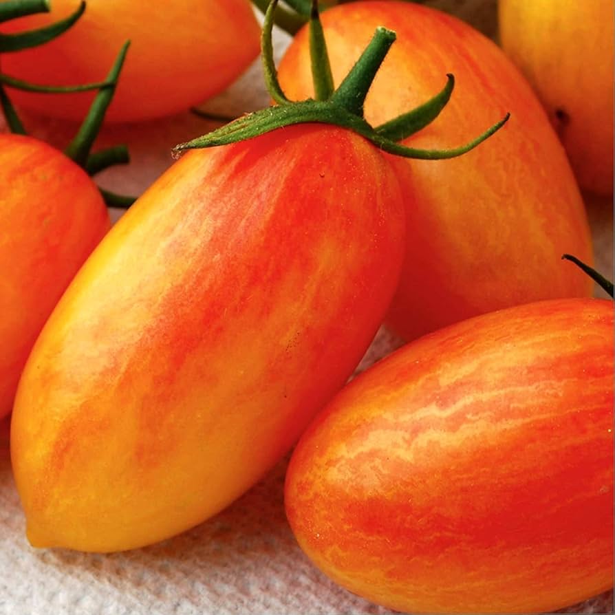 プチtomato様 ご注文品5点 PEACH TOMATO - Trying an Uncommon Tomato with Peach Fuzz