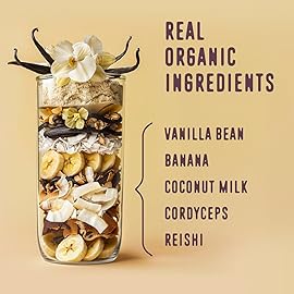 FlavCity Grass Fed Whey Protein Powder - Vanilla Smoothie - 25g Protein & 10g Collagen - Made with Real Vanilla Bean & Organic Coconut Milk - Gluten Free & No Added Sugars (20 Servings)