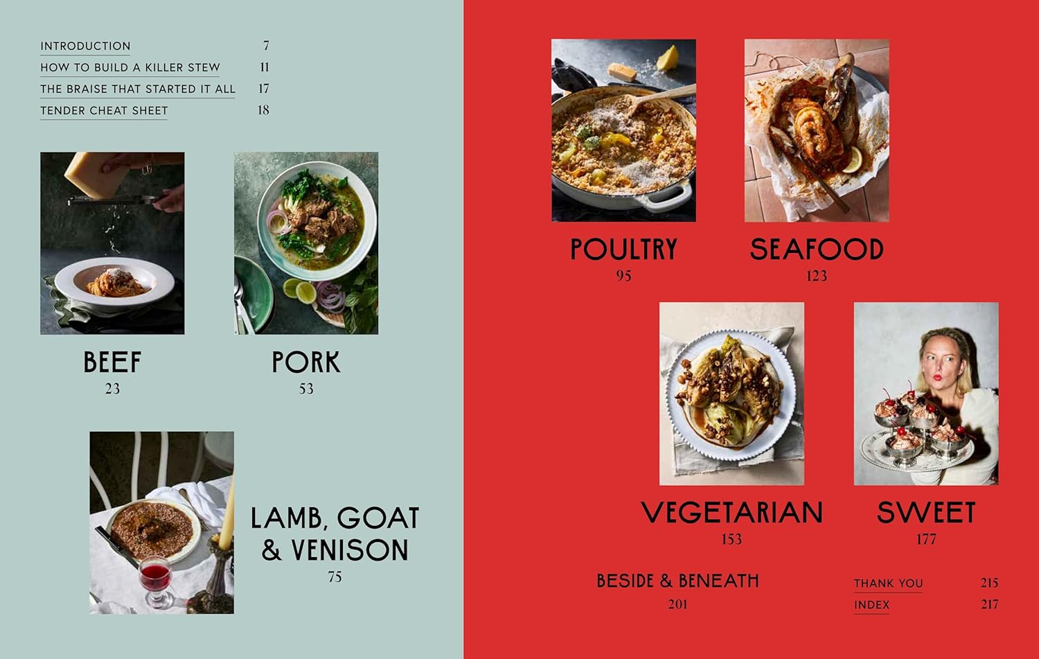 Tender: From basic braises to the new stew, soups to swill in and carby cushions – over 90 recipes to access the sauce of happiness