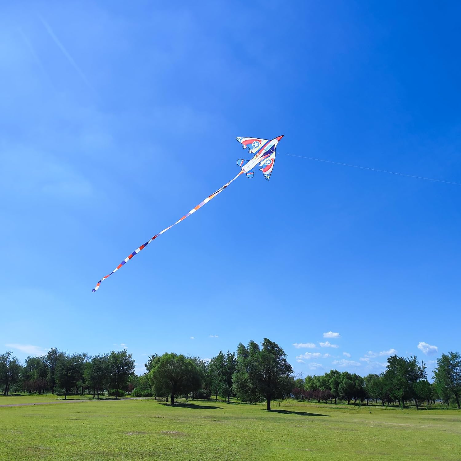 Delta Kite for Kids & Adults - Easy to Fly Large Single Line Beach Kite with 300ft String Handle Included, Perfect for Beginners, Teens