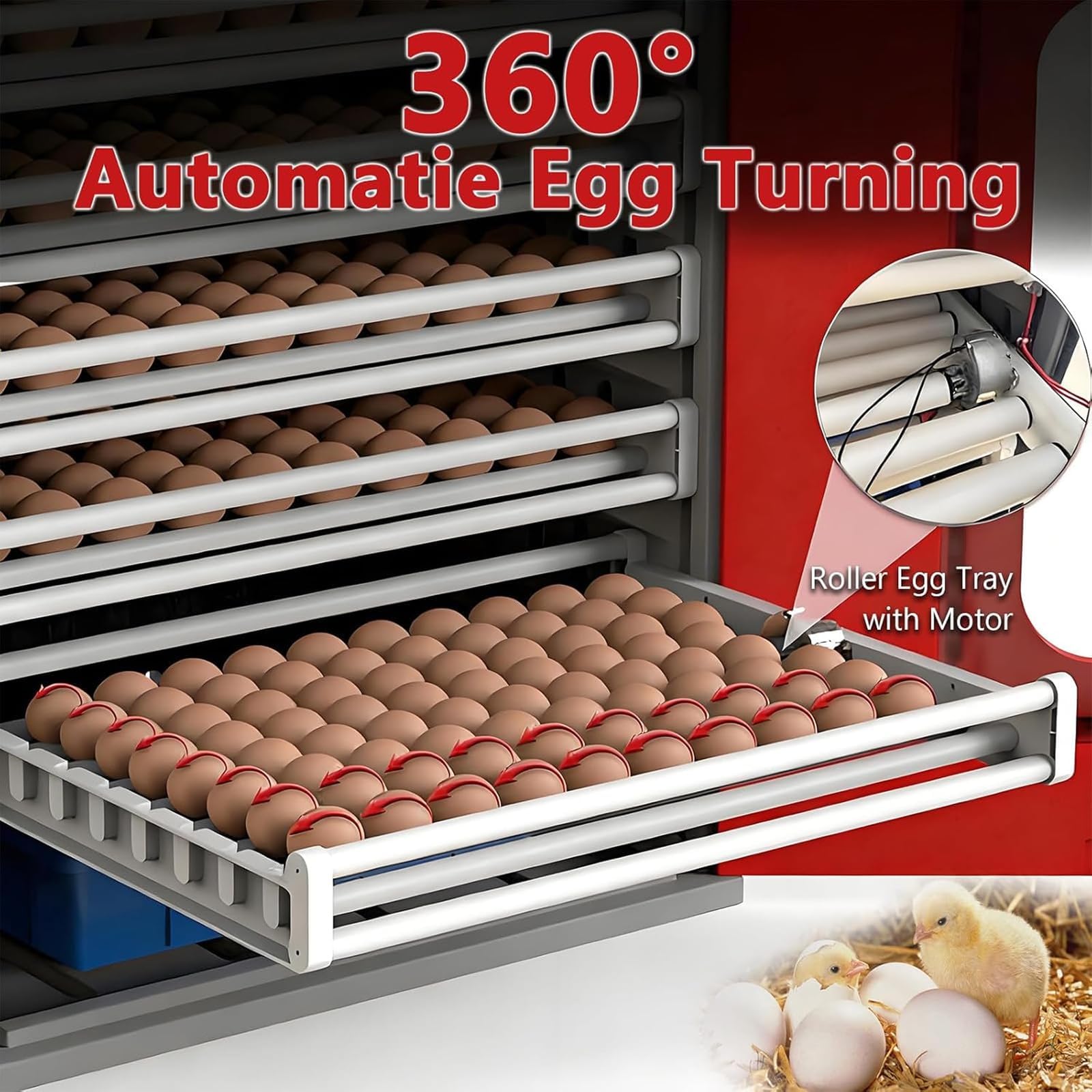 Grande Incubatrice Professionale, Incubatrice Automatica per Uova Gallina