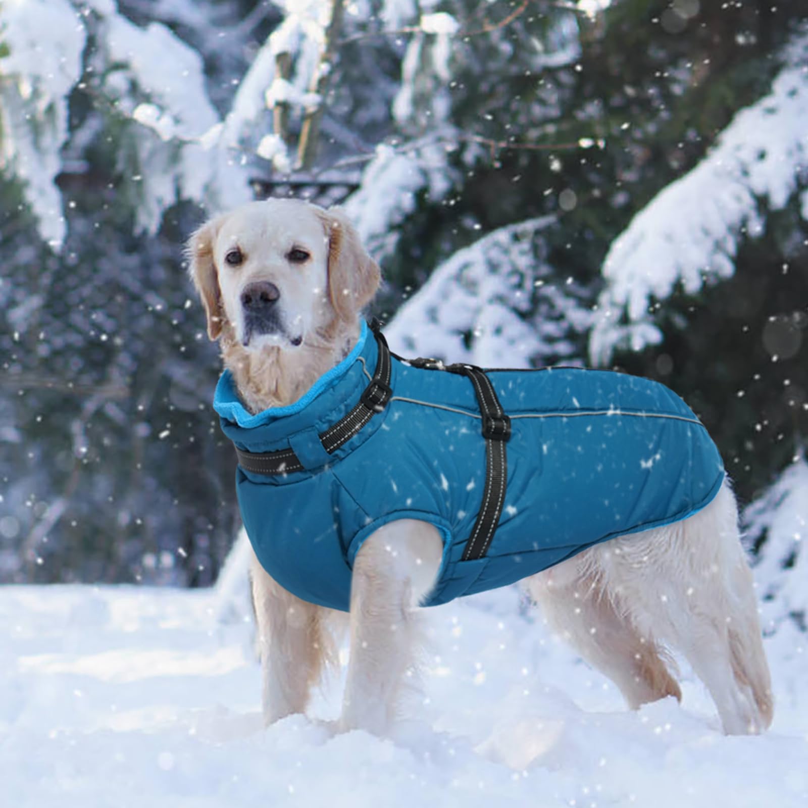 Lelepet Abrigo para Perro, Abrigo para Perro con arnés Integrado, Abrigo de Invierno cálido para Perro, Chaqueta Impermeable para Perro con arnés, Abrigos para Clima frío, Chaleco Grueso de Forro
