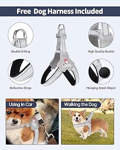 Dog Car Seat for Dogs - Waterproof Dog Booster Seat for Car with Storage Pockets, Clip-On Safety Leash and Soft Plush Cushion, Pet Travel Carrier Bed with Durable Belts up to 25 lbs (Brown, Medium)