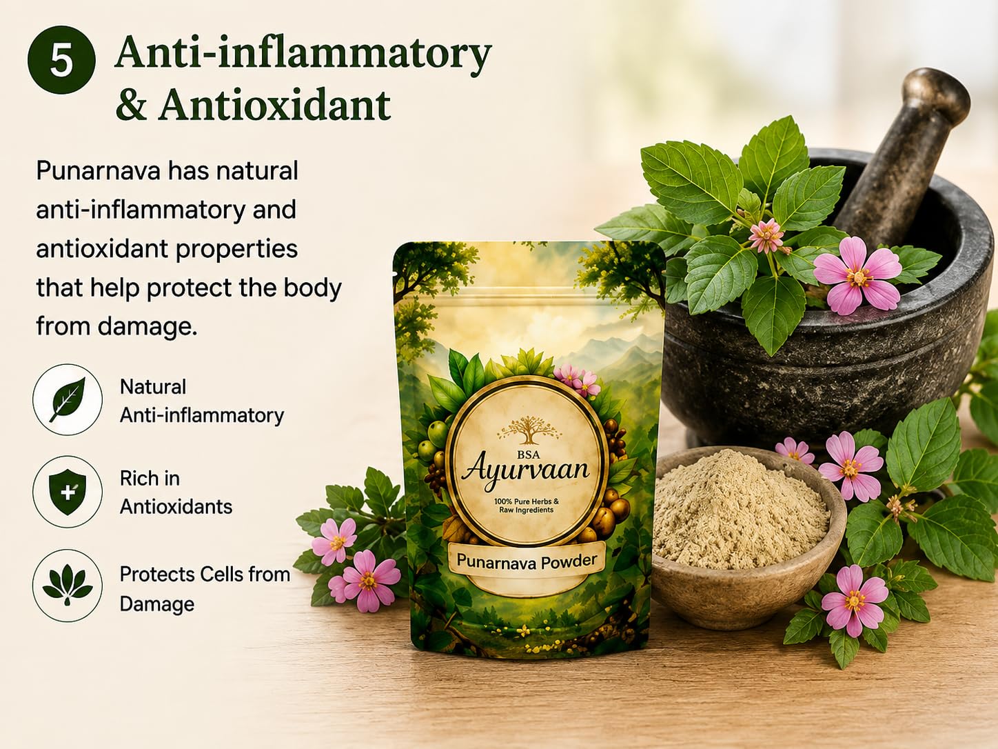 Punarnava Powder for Kidney Rejuvenation | Boerhavia Diffusa Herbal Supplement for Daily Wellness — Amazon image 7