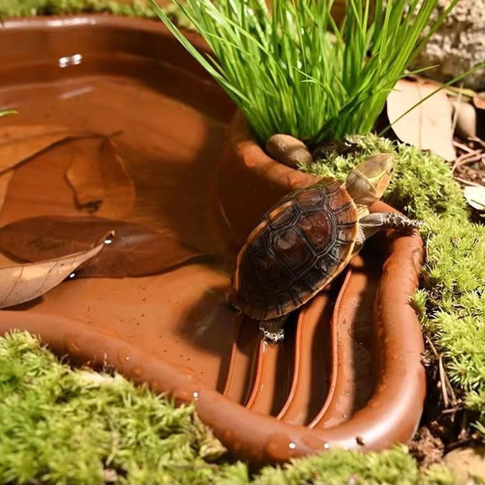 Baignoire pour Reptiles Piscine pour Reptiles Grande Piscine pour Tortue Terrestre avec Un Absorbeur d'eau Manuel pour Les Reptiles Tels Que Tortues, Lézards, Serpents