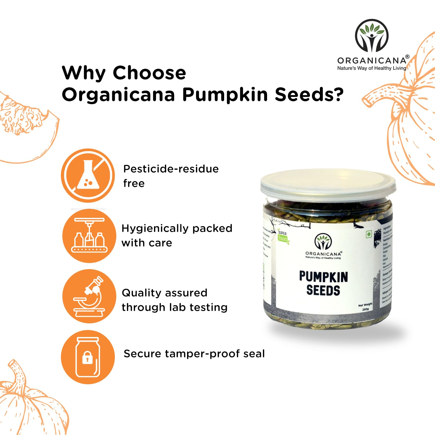 Organicana Pumpkin Seeds - 250g (Pack of 1) | AAA Grade Seeds for Eating | Premium Protein Rich Seeds | Immunity Booster | Healthy Diet Snacks | Weight Management | Rich in Fibre 1