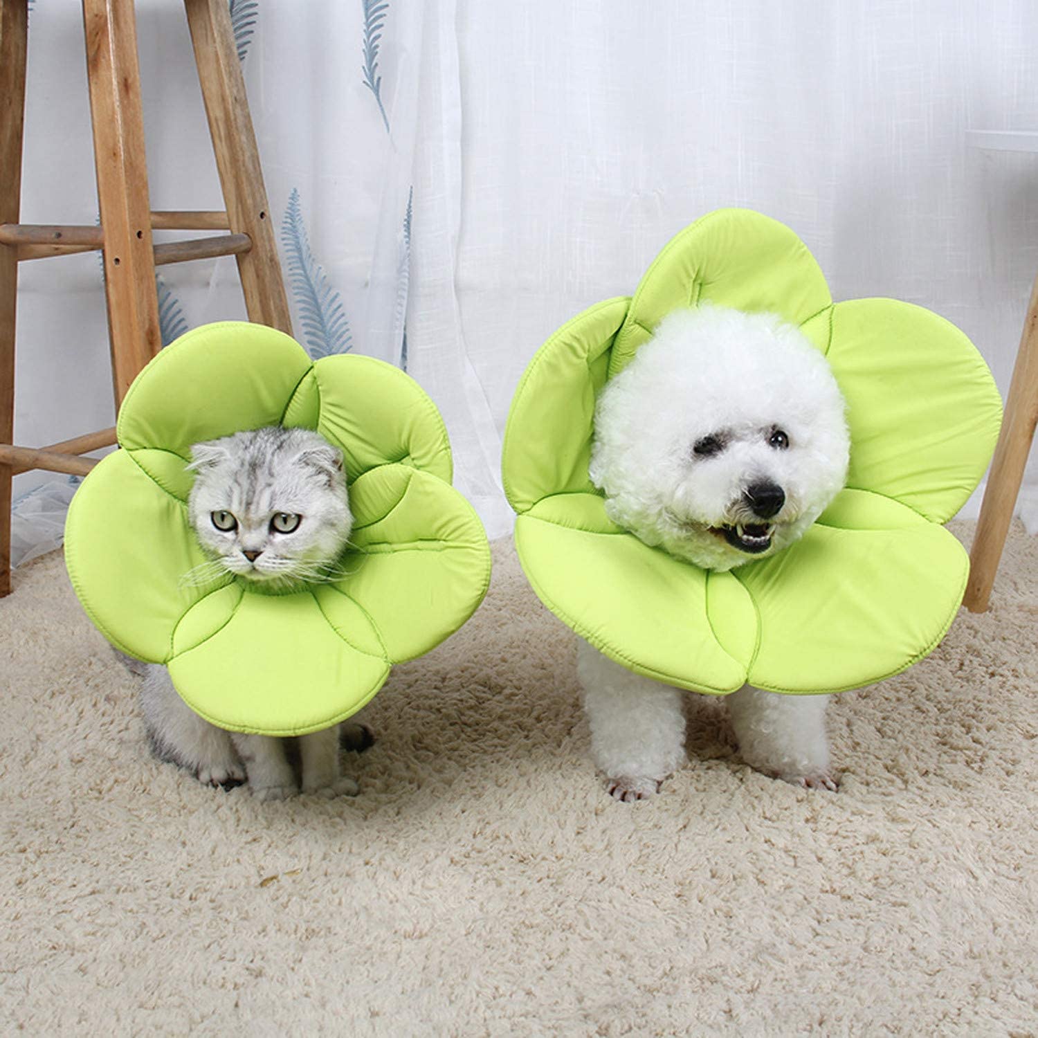 猫用 犬用 エリザベスカラー ソフト グリーン S 脱着便利 軽量 傷口保護 Amazon | IECOii エリザベスカラー 犬 猫 ソフト 軽量 調整可能